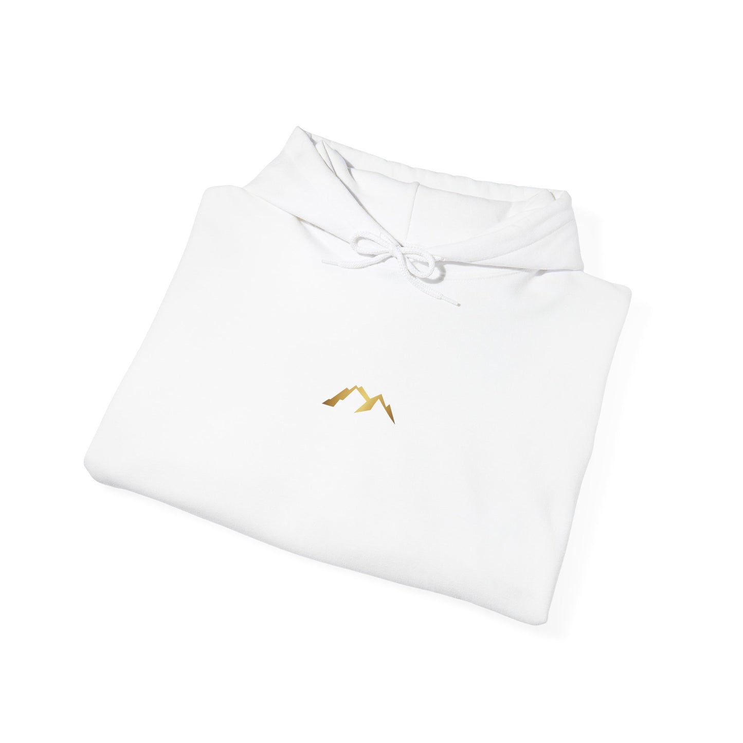 Nexus fade hoodie