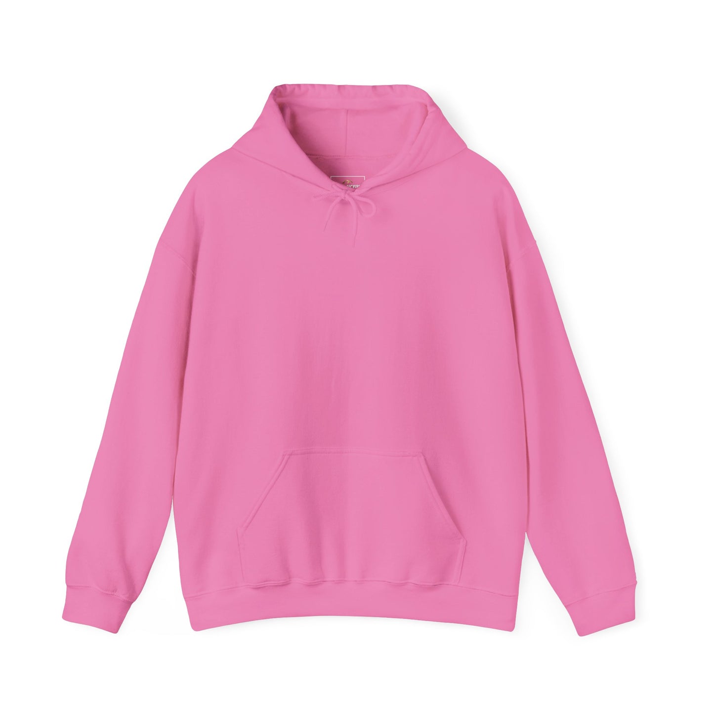 Steezy Hoodie