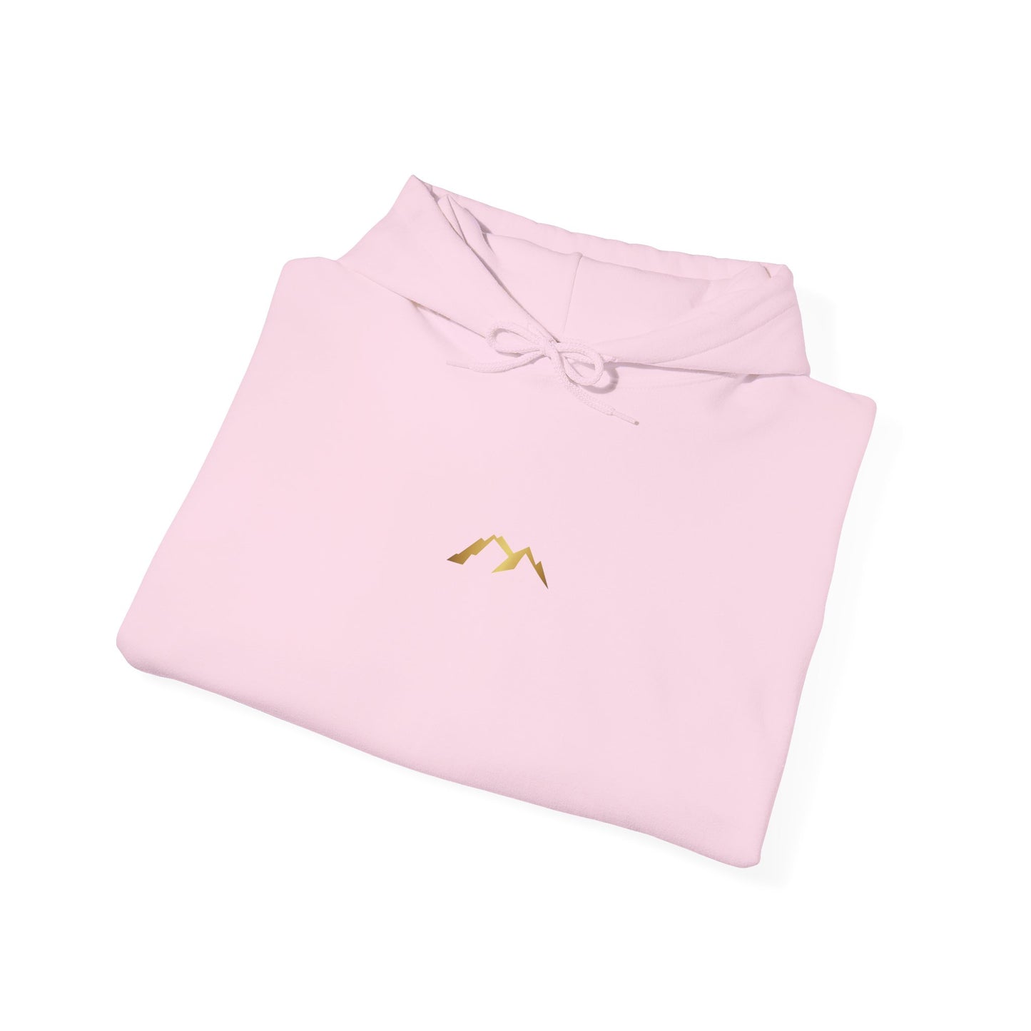Nexus fade hoodie