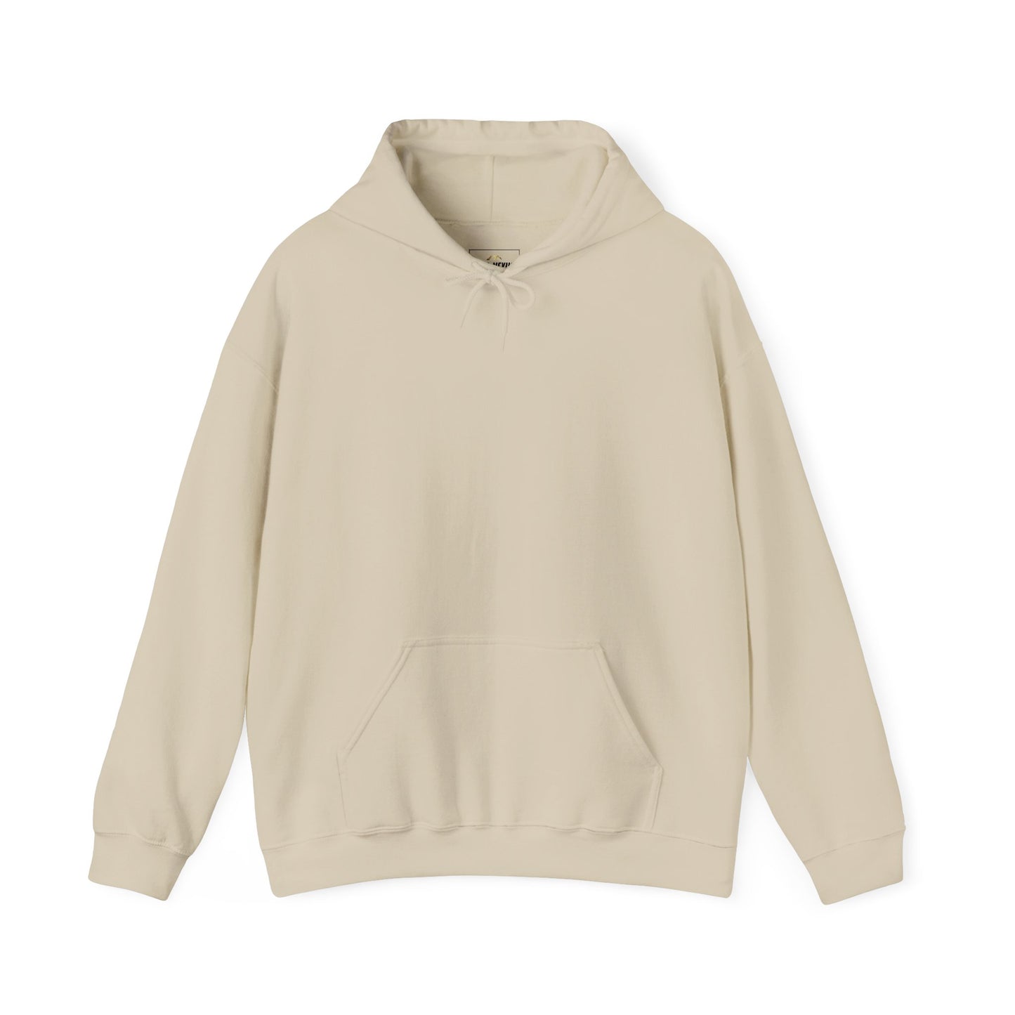 Steezy Hoodie